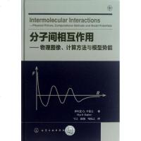 [新华书店]正版 分子间相互作用:物理图像.计算方法与模型势能(墨)伊利亚G.卡普兰化学工业出版社