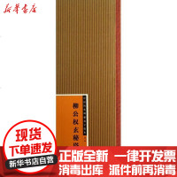 【新华书店】正版 柳公玄秘塔碑（2）江西美术出版社9787548021773江西美术出版社 书籍
