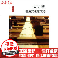 [新华书店]正版 大近视:香港文化蒙太奇袁兆昌9787533674564安徽教育出版社 书籍