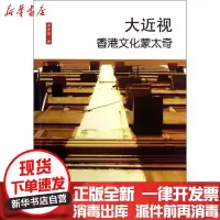 [新华书店]正版 大近视:香港文化蒙太奇袁兆昌9787533674564安徽教育出版社 书籍