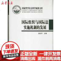 [新华书店]正版 国际组织与国际法实施机制的发展(2012)饶戈平9787301222713北京大学出版社 书籍