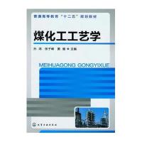 [新华书店]正版 煤化工工艺学孙鸿9787122139924化学工业出版社 书籍