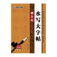 [新华书店]正版 柳公权玄秘塔碑李泊城9787539458632湖北美术出版社 书籍