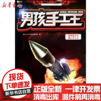 [新华书店]正版 男孩手工王(天外飞客 )阿拉丁Book教育研发组9787111440062机械工业出版社 书籍