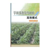 [新华书店]正版 旱田多熟集约种植高效模式无9787511614926中国农业科学技术出版社 书籍