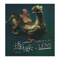 [新华书店]正版 中国国宝精华//透过镜头王露大象出版社9787534736445 书籍