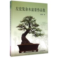 [新华书店]正版 左宏发杂木盆景作品集左宏发9787547824306上海科学技术出版社 书籍