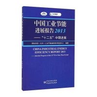 【新华书店】正版 中国工业节能进展报告2013国宏美亚9787506677622中国标准出版社 书籍