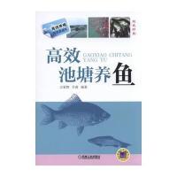 [新华书店]正版 高效池塘养鱼占家智9787111510529机械工业出版社 书籍