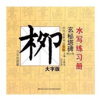 【新华书店】正版 历代名家书法字帖水写练 册（ 字版）（柳公权·玄秘塔碑.习字巩固篇）王维华9787538695502吉