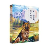 【新华书店】正版 D七条猎狗·忠犬宾果沈石溪9787501610075天天出版社 书籍