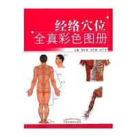 [新华书店]正版 经络穴位全真彩色图册郭长青中国中医药出版社9787513226448 书籍