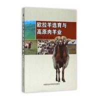 [新华书店]正版 欧拉羊选育与高原肉羊业王彩莲9787511620156中国农业科学技术出版社 书籍