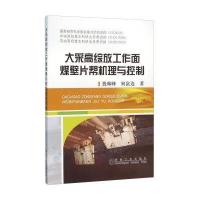 [新华书店]正版 大采高综放工作面煤壁片帮机理与控制殷帅峰9787502471491冶金工业出版社 书籍
