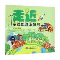 [新华书店]正版 走近全球能源互联网王存华9787517043393中国水利水电出版社 书籍