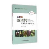 [新华书店]正版彩图版猕猴桃栽培及病虫害防治刘兰泉中国农业出版社9787109218079园艺