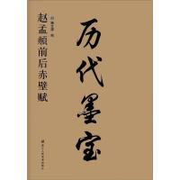 【新华书店】正版 赵孟頫前后赤壁赋魏文源9787534053115浙江人民美术出版社 书籍