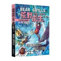 [新华书店]正版 荒野求生少年生存小说系列11:狼獾冰原的疯狂追踪贝尔·格里尔斯接力出版社9787544846691