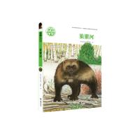 [新华书店]正版 黑鹤动物文学精品系列?狼獾河格日勒其木格·黑鹤接力出版社有限公司9787544844017 书籍