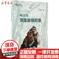 [新华书店]正版 响古箐滇金丝猴纪事于凤琴中国林业出版社9787503889066 书籍