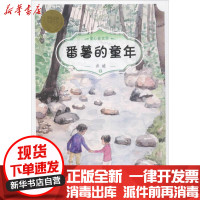 [新华书店]正版 番薯的童年井蛙希望出版社9787537976046 书籍