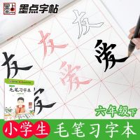 [新华书店]正版 小学生毛笔习字本(6年级.下册)荆霄鹏湖北美术出版社9787539493411 书籍