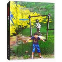 【新华书店】正版 百名摄影师聚焦巴西王浩中国文联出版社9787519032890 书籍