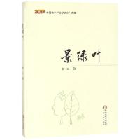 【新华书店】正版 景绿叶李义宁夏人民出版社9787227067696 书籍