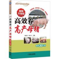 【新华书店】正版 高效养高产母猪 视频升级版李顺才机械工业出版社9787111598954水产/渔业