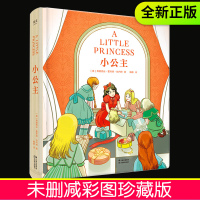 【新华书店】正版 小公主弗朗西丝·霍奇森·伯内特9787548932420云南美术出版社 书籍