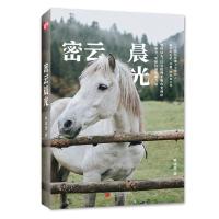 [新华书店]正版 密云晨光亚比煞北京联合出版有限责任公司9787559626790 书籍