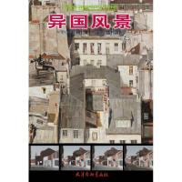 [新华书店]正版 异国风景孙振武天津杨柳青出版社9787554707944 书籍