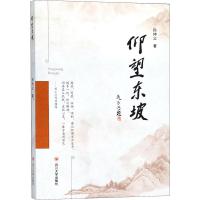 [新华书店]正版 仰望东坡孙仲父四川大学出版社9787569019087 书籍