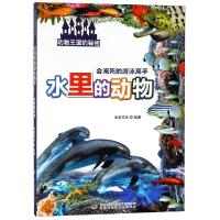 [新华书店]正版 动物王国的秘密•会淹死的游泳高手 水里的动物米家文化吉林出版集团9787558151705 书籍