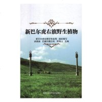 [新华书店]正版 新巴尔虎右旗野生植物胡高娃中国农业科学技术出版社9787511631572 书籍