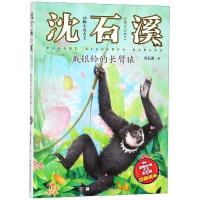 [新华书店]正版 动物小说大王沈石溪.注音读本•戴银铃的长臂猿沈石溪浙江少年儿童出版社9787559711359 书籍