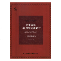【新华书店】正版克莱采尔 提琴练 曲42首 练习提示无湖北教育出版社9787556428625戏剧艺术/舞台艺术