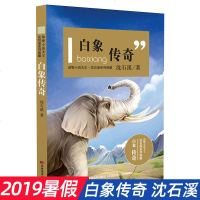 [新华书店]正版 动物小说大王·沈石溪系列典藏•白象传奇沈石溪吉林美术出版社9787557548223 书籍