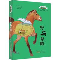 [新华书店]正版 动物小说大王沈石溪.野生动物救助站•沈石溪动物小说系列野生动物救助站3册(雪山狼魂 野马奔腾 独牙象