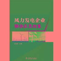 [新华书店]正版 风力发电企业现场应急处置张勋奎9787519831226中国电力出版社 书籍