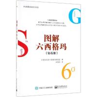 [新华书店]正版 图解六西格玛(钻石版)DiamondSixSigmaKenkyu-Kai9787121371752电子