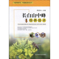 [新华书店]正版 长白山中蜂饲养技术薛运波中国农业出版社9787109255876 书籍