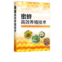 [新华书店]正版 蜜蜂高效养殖技术罗文华、高丽娇、王瑞生9787122352521化学工业出版社 书籍