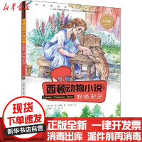 [新华书店]正版 西顿动物小说全集(彩绘版)•野猪泡泡(第3辑)/西顿动物小说全集(彩绘版)欧·汤·西顿接力出版社