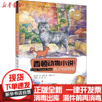 [新华书店]正版 西顿动物小说全集:彩绘版•巷子里的野猫欧·汤·西顿接力出版社9787544863339 书籍