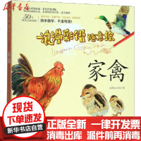 [新华书店]正版 浪漫彩铅随意绘 家禽七彩绘工作室9787531483090辽宁美术出版社 书籍