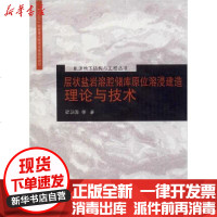 【新华书店】正版 层状盐岩溶腔储库原位溶浸建造理论与技术梁卫国9787560887814同济大学出版社 书籍