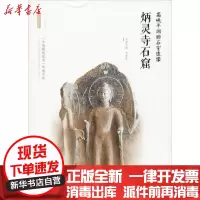 【新华书店】正版 高峡平湖的石室造像 炳灵寺石窟李炳武9787554143568西安出版社 书籍