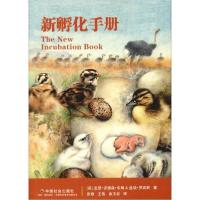 [新华书店]正版新孵化手册亚瑟·安德森·布朗中国社会出版社9787508762371数学