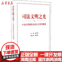 【新华书店】正版 司法文明之光 十论中国特色社会主义审判制度姜启波9787510927713    出版社 书籍